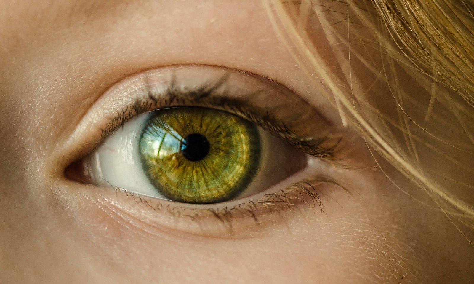 A photo of a green eye